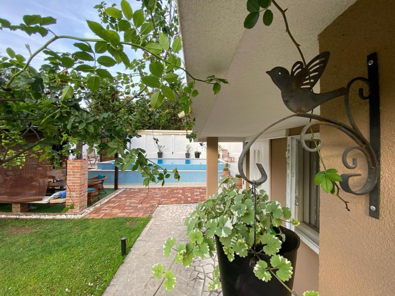 Villa Nikola Kotor Exterior photo